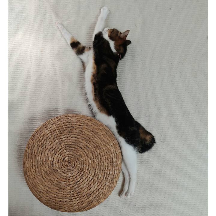 1a143e89 b6e1 4e90 bdd7 94928b3bc476 1659516384726