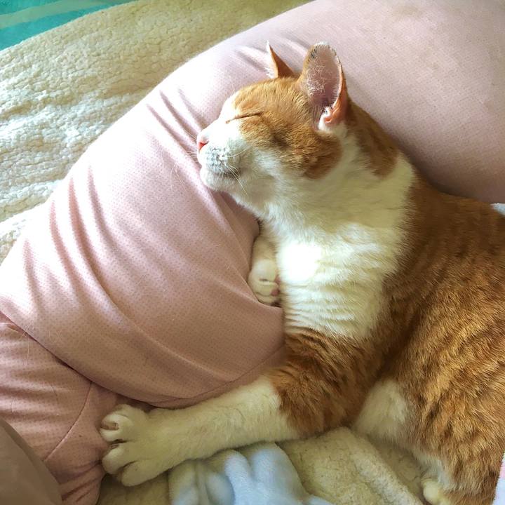 1a1475ba 59ad 4b75 a2b6 3b0f3ee12dee 1620802359906