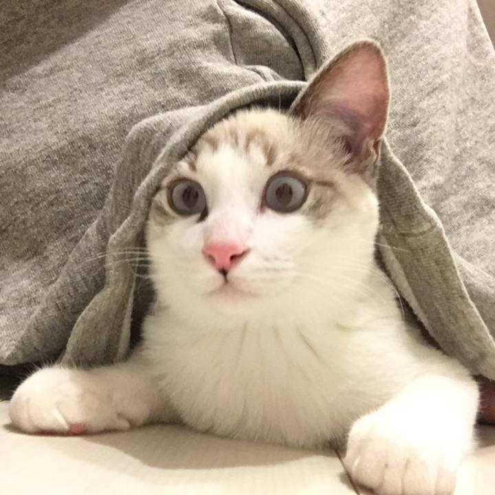 1a14db0a ed3b 4e15 b179 a4df1d145abf 1511023780946