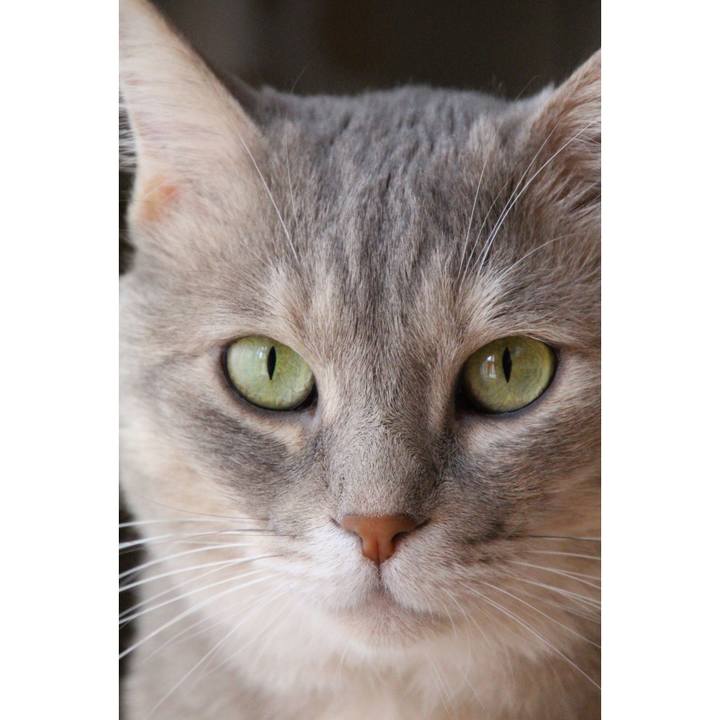 1a14de62 c38d 48da 963c 6a69d873e54a 1689493562597