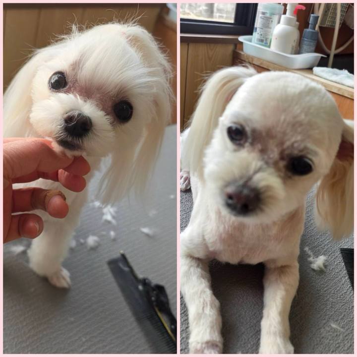 1a14ff76 4258 49d6 a62f 0befc23ba71b 1772795280626