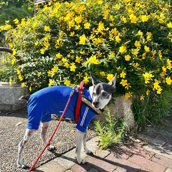 1a151fd4 6078 462a 988c a6fa84157373 1653783879669