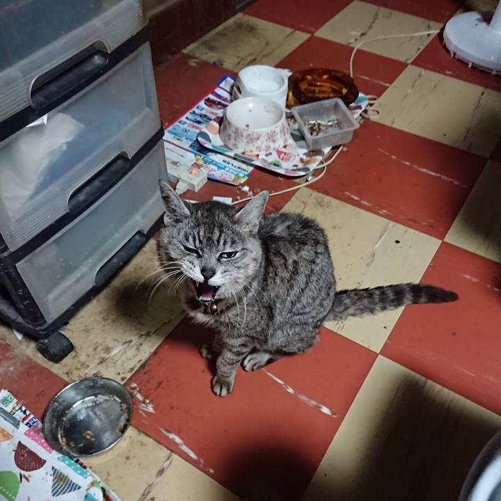 1a155341 ebb6 43fa b968 3e1361167f9c 1592681288234