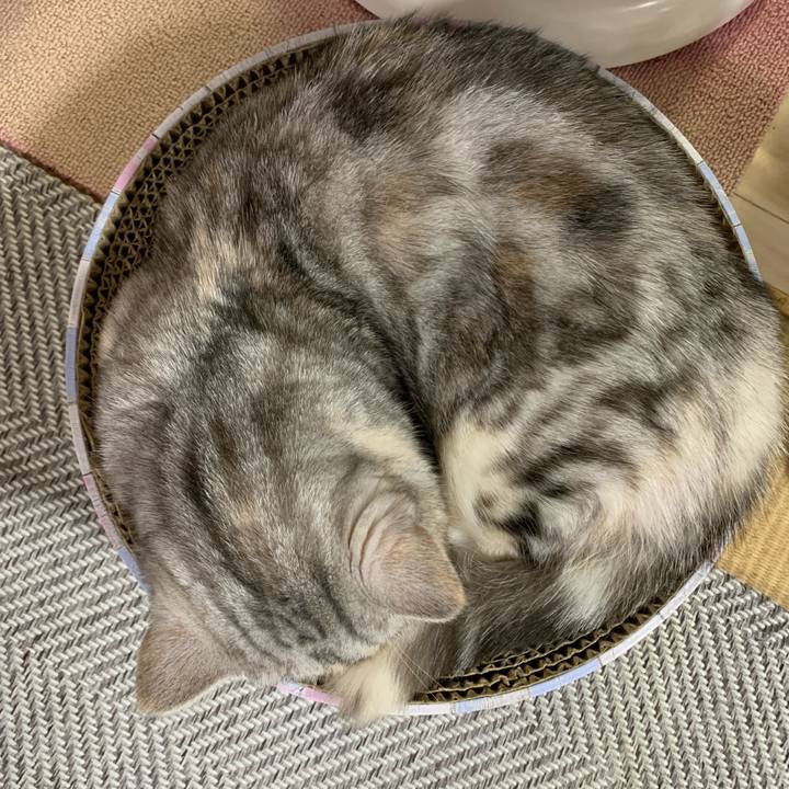 1a156422 ad48 4d05 a7a7 91feb7c513e3 1705566710976