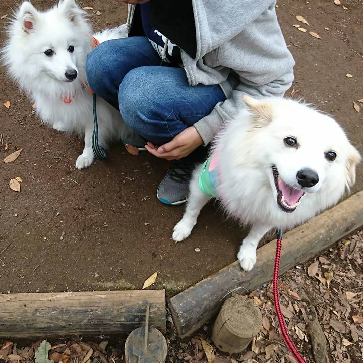 1a158a2d 808d 421d bc5b f2b3eb9787b6 1509167415516