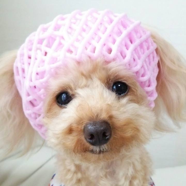 1a15ada7 6853 423b abb8 701f09934c69 1528522501827