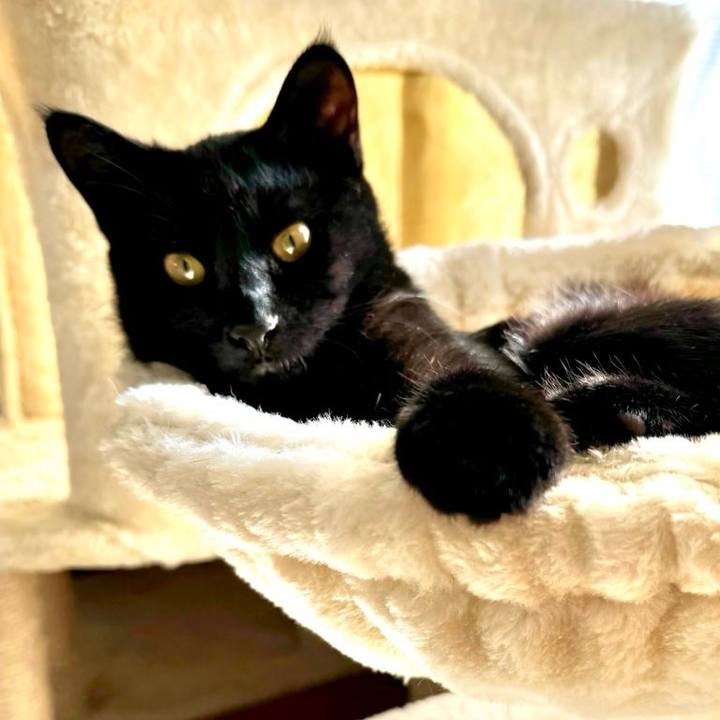 1a15b47f 82ec 471a 8ffc b907bb5f15c2 1732347062697