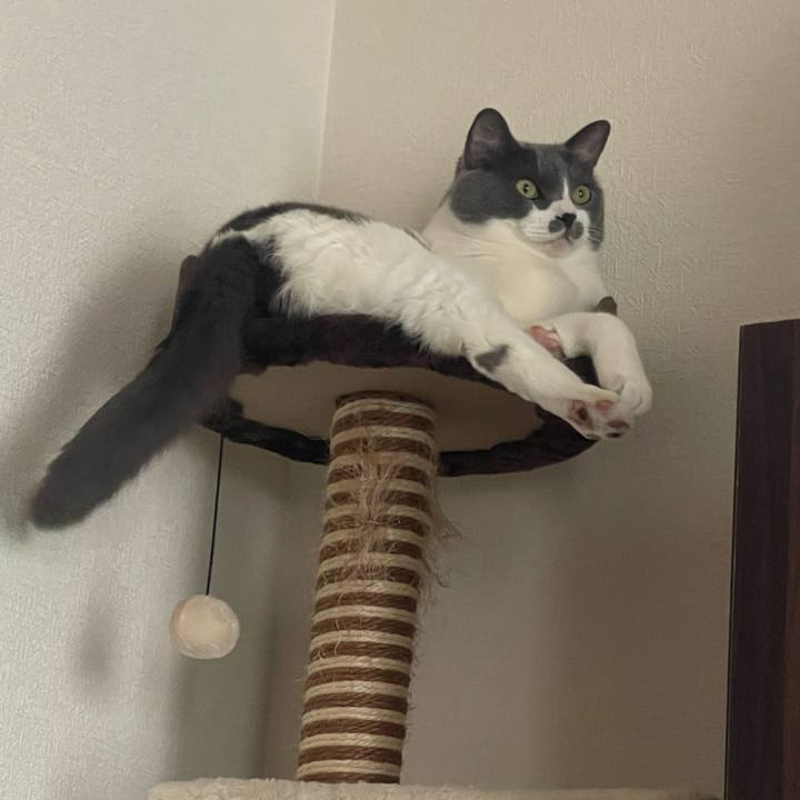 1a15bd78 9c47 4f2d bb03 02881a6084aa 1719391244793