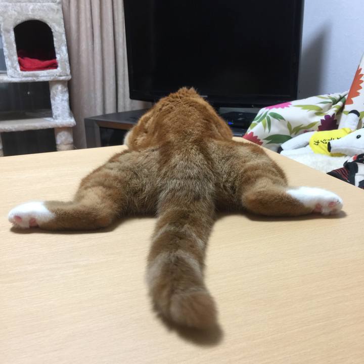 1a15ef26 782c 4641 b810 666a96e5ed9e 1537793038356