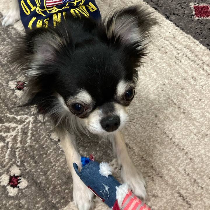 1a1606ab e924 49e7 b50e 3f49c1a93600 1618060398213