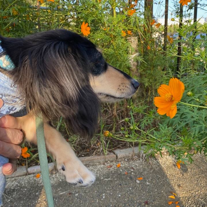 1a1697cb 0b12 4691 a571 51b533a7581c 1695682204856