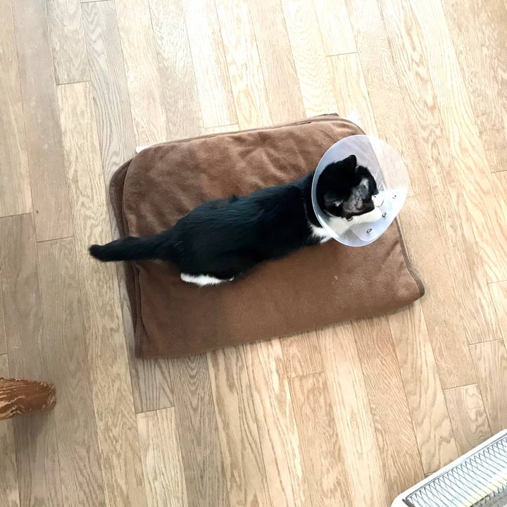 1a16c15a 7d11 4caa 8c71 a0bc11230f33 1579857685328