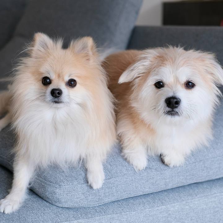 1a1712e8 67c5 471e ad8e e2bf0cdbd02c 1764973807311