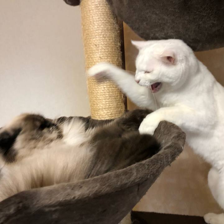 1a175ed5 e798 46f7 ba3c c42f186efd65 1656731137744