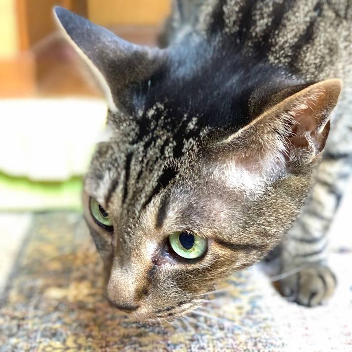 1a17c982 d435 40fe 9bf9 80a0eedd346c 1557883883284