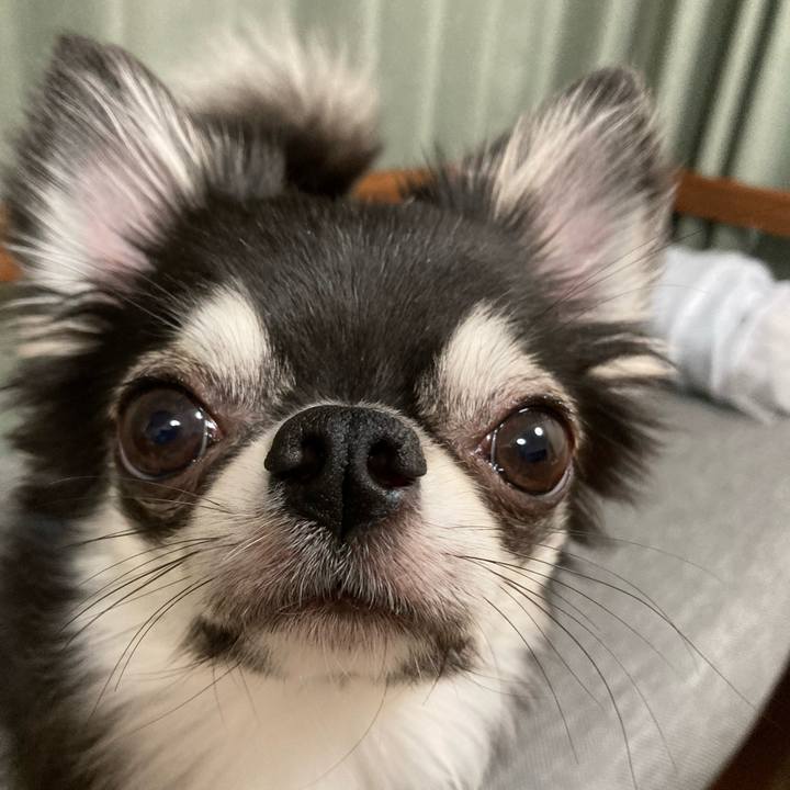 1a17d169 8da1 4586 bbc4 467a9923ef79 1628344301367