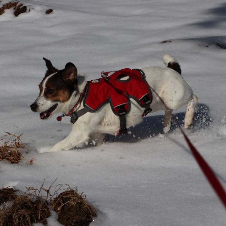 1a181b54 a866 4f45 9477 b29c35f507c3 1517634155847