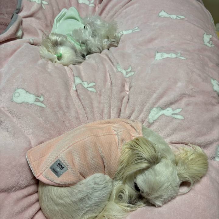 1a18216c 316f 4215 a9c9 d65a1140b9cd 1767775478699