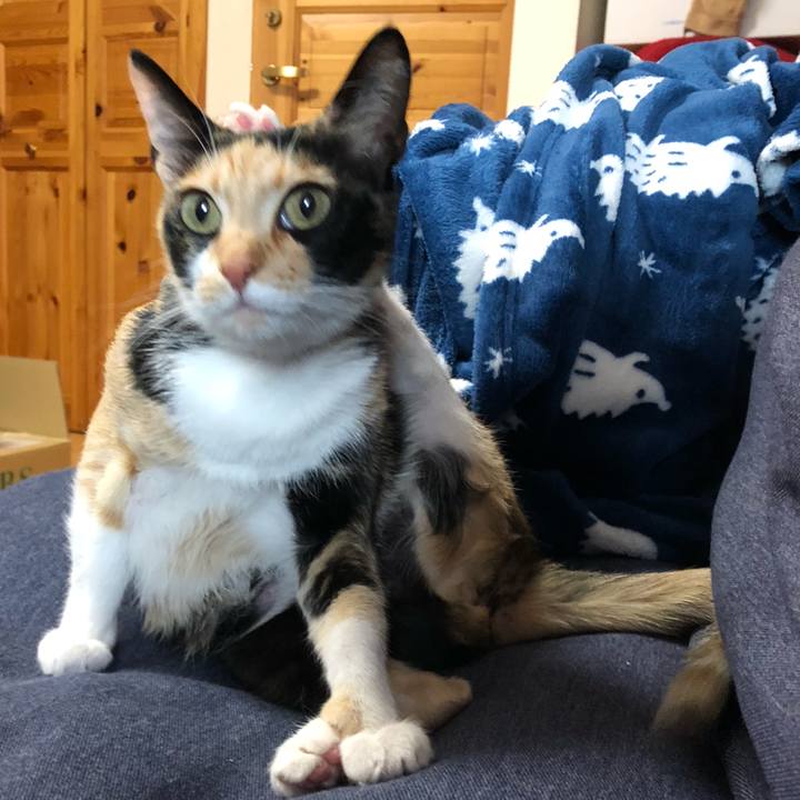 1a184ad4 96d7 48c9 82df e68bbb50b608 1551479707888