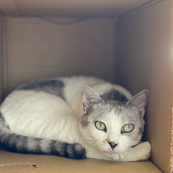 1a184c0d 92bf 492b b1be 0f812965eb5e 1615855821974