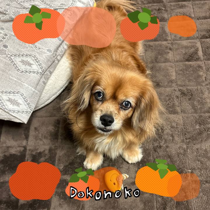 1a184e3b ef3e 4384 baf6 3a4213d730eb 1761531136803