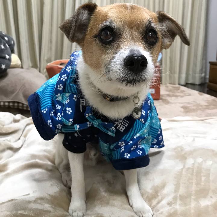 1a18a3cc 3389 4d10 838b 3e815f25ae47 1550788356965