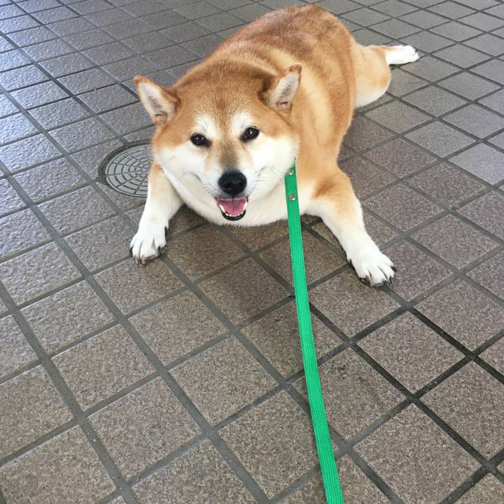 1a18b395 952e 4dfa b73f e322cef7a4af 1598572838513