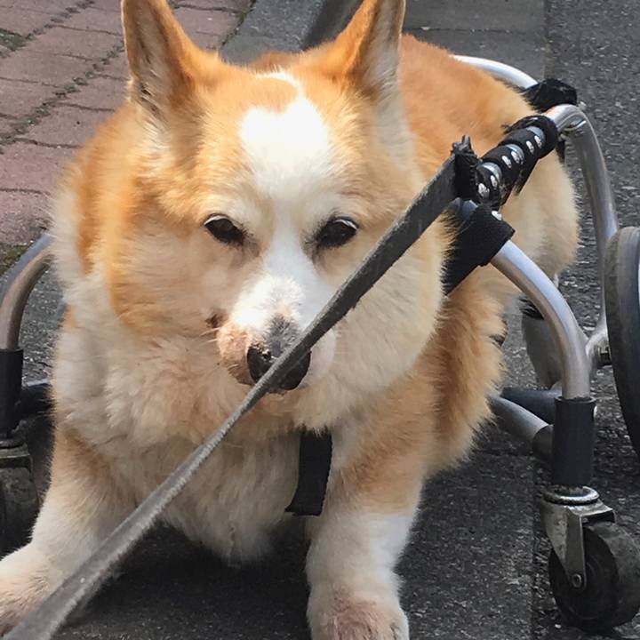 1a18b5a7 05b9 45b5 9bd6 7d114f908a8d 1555733185228