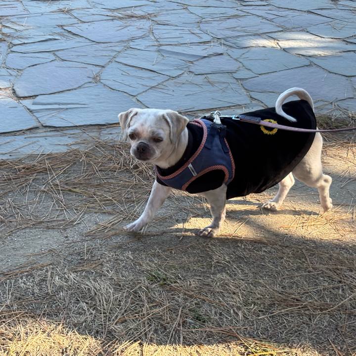 1a18e76f b879 4ca4 b2ef 1ffcf5dc0a46 1765316906101