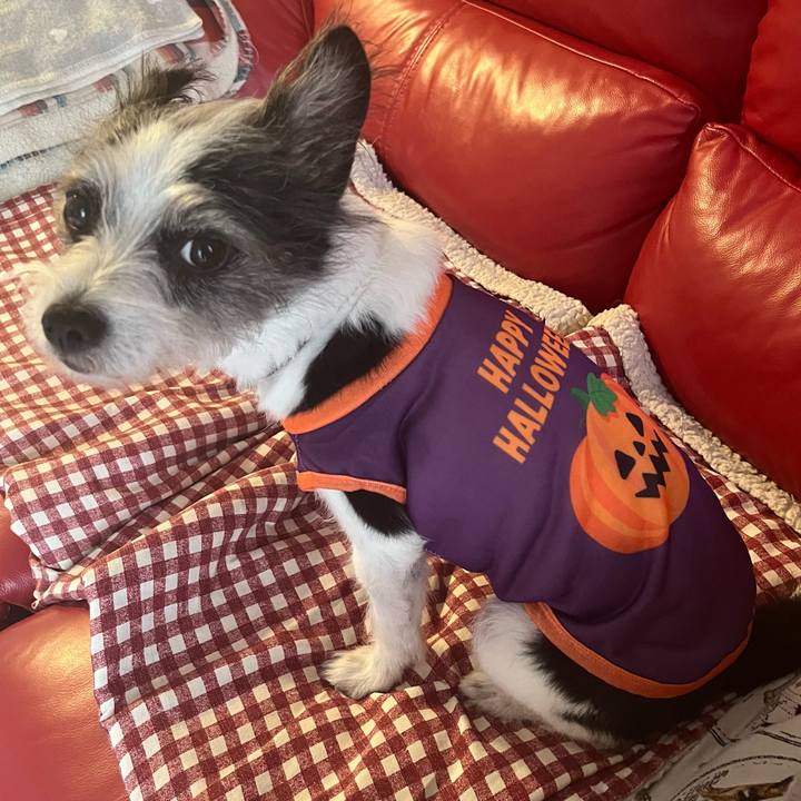 1a18f225 6832 4c5d 9703 5b7d1c5fabf4 1758609056002