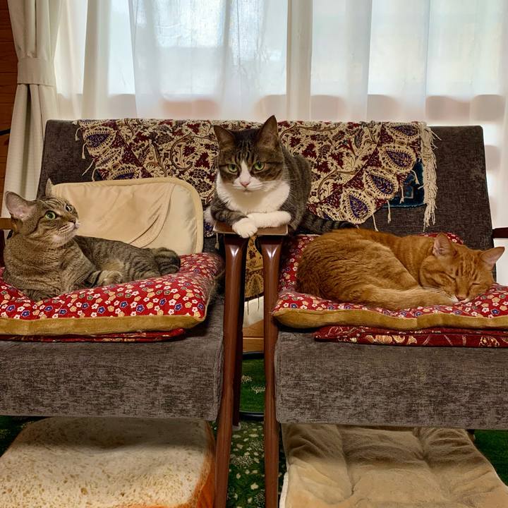 1a192a3c 642b 4790 9b28 80b92c97997d 1626164718277