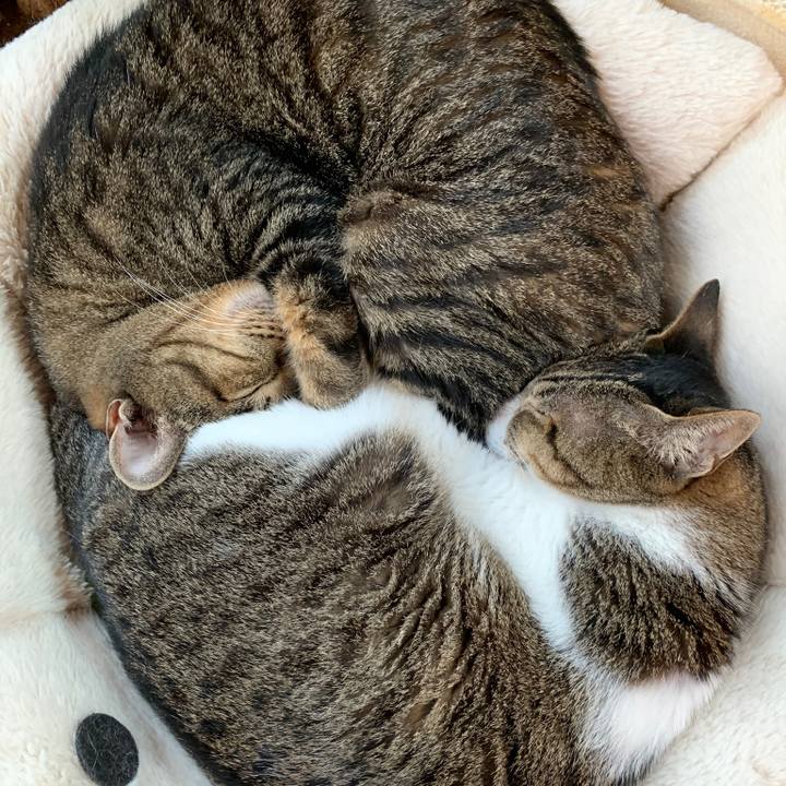 1a195e8e 629b 4caa 9d1b b46b75b1d5d8 1572483458200