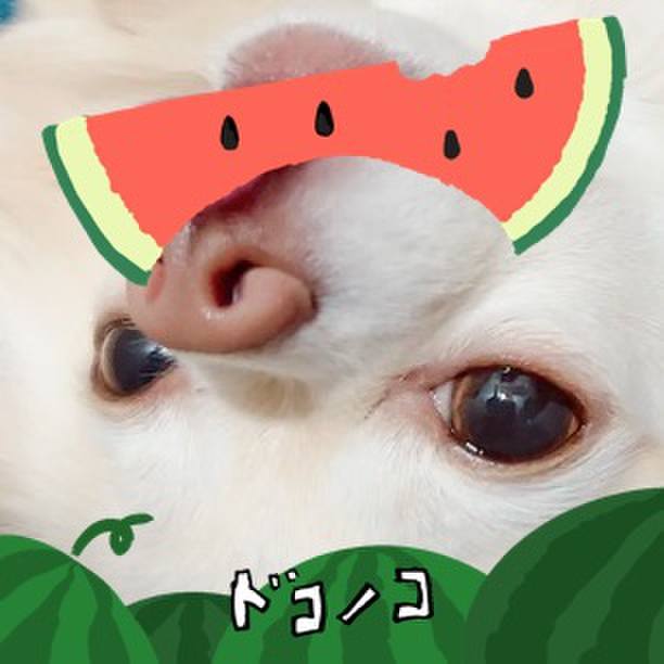 1a198ce4 140f 4ce4 ad28 cc724b87e4bf 1720794109485