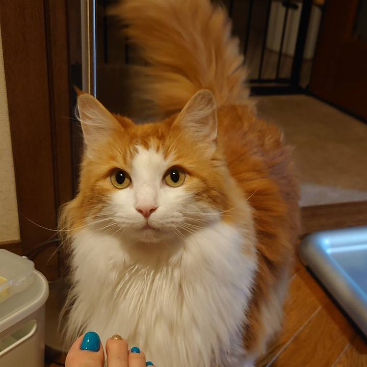 1a19a100 50f7 441d 97b0 2617eb9d53f4 1689124509205