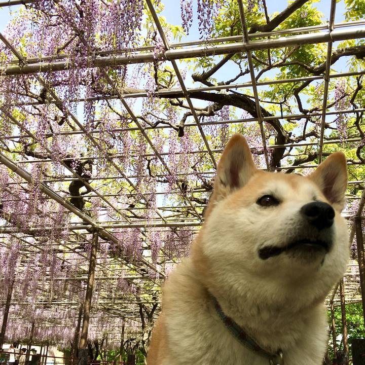 1a19a2ec 9fbd 45dd 8636 523c4f687d64 1523965083260