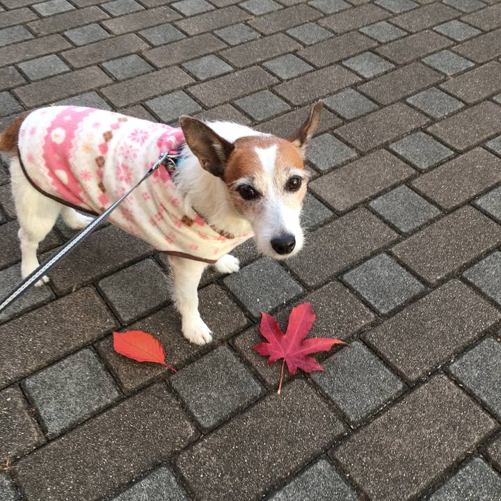 1a19a811 7de2 4350 a076 f680ae4e3913 1638488778055