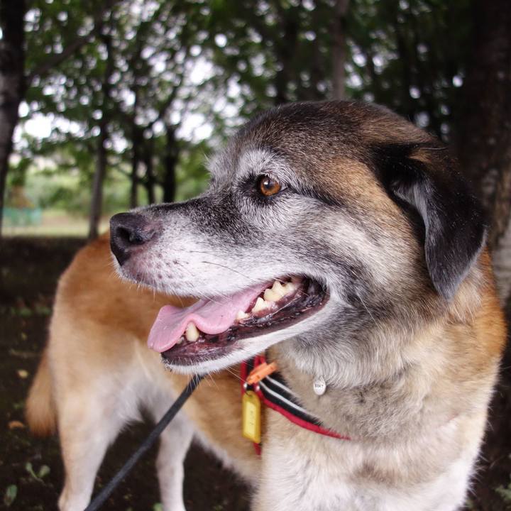 1a19b24e 9e43 44e8 8c17 ab080dedbe19 1532821611422