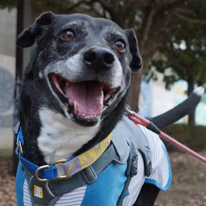 1a19b31d 8ebf 441a 82df 261b396bbdf2 1768955229856