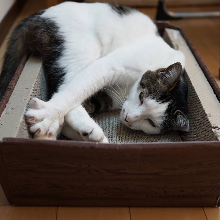 1a19cb0d 08af 4e6b 8134 57190081874b 1558914661364