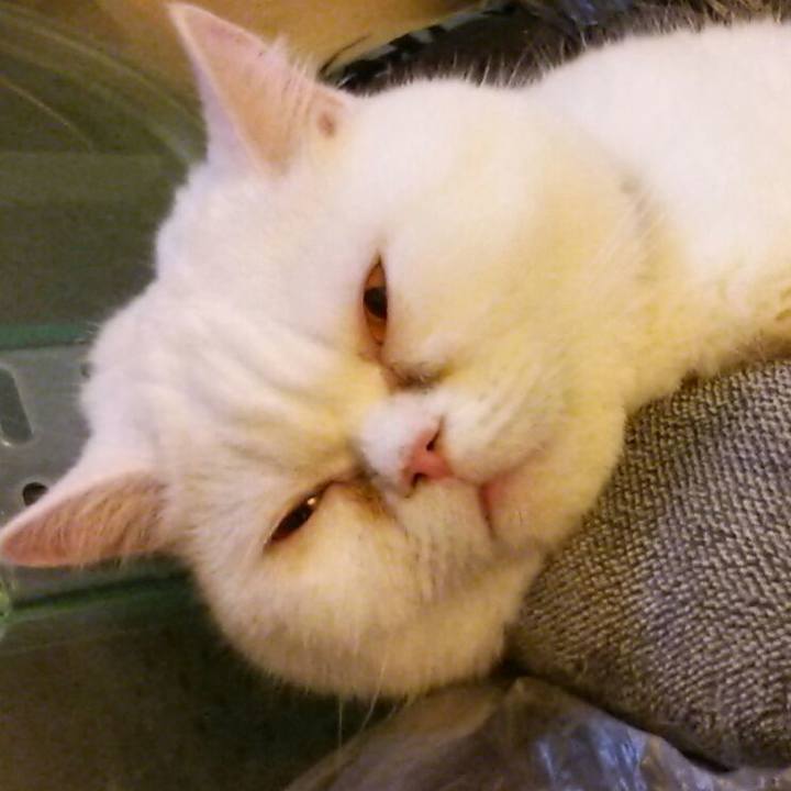 1a19de84 f8ef 4020 bc7c a40867a74379 1552812896975