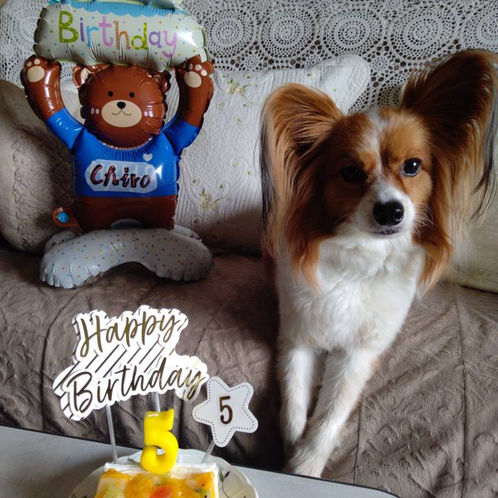 1a19fc59 aff9 4dda a838 e78c7d42209a 1750744928981