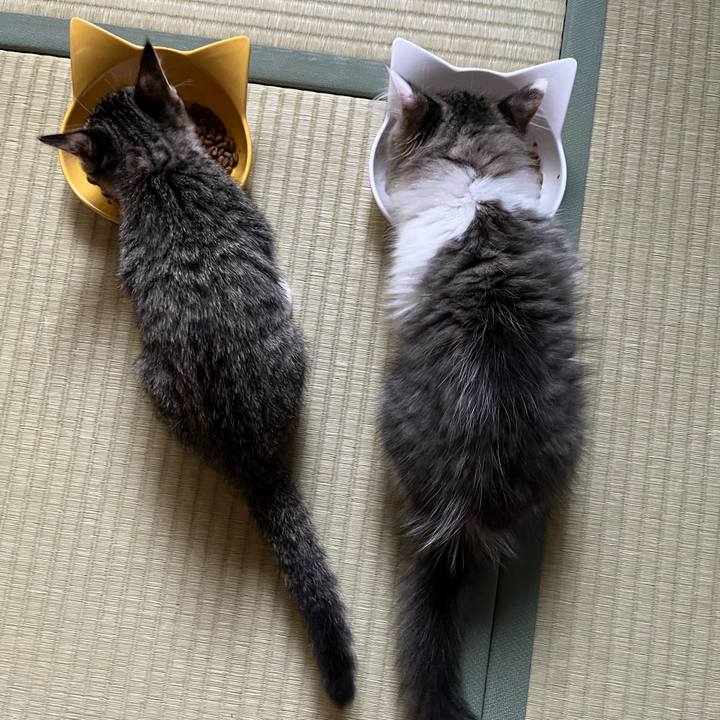 1a1a389d 5864 4b35 aa60 d9bd039ba259 1688420405459