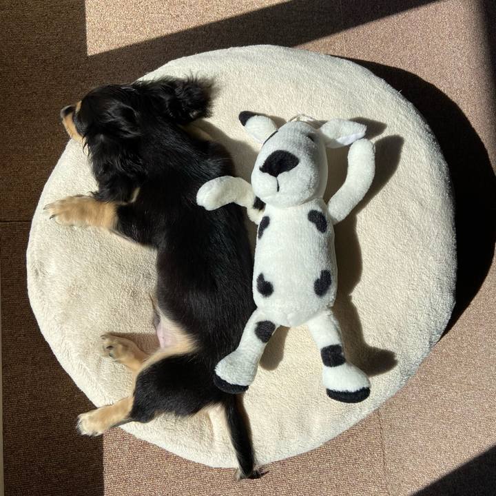 1a1a5652 3a8d 4614 af1d 4aa48ec7f93f 1667524607002