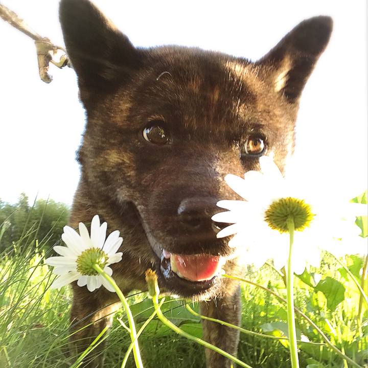 1a1a6483 2732 4f04 af8f 3710a2ee489e 1528889090090