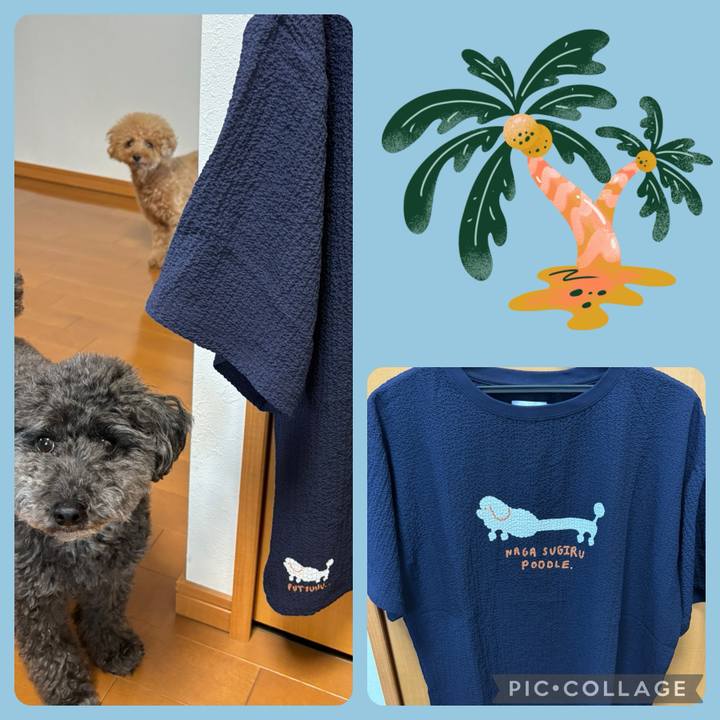 1a1a6587 f645 4ee6 a07c 5fcebb68d60f 1719127271670