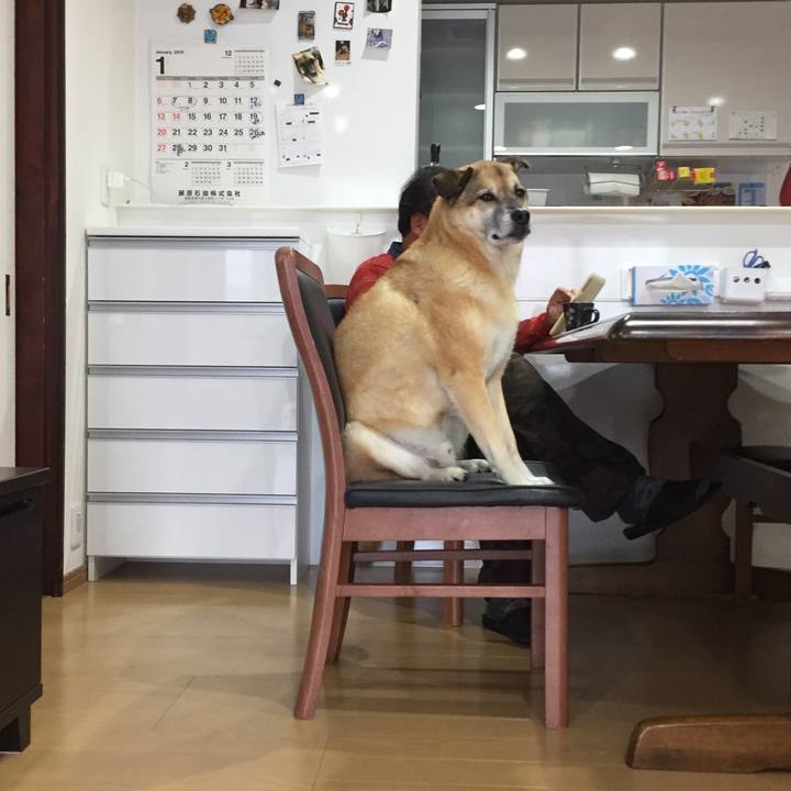 1a1a80bd 5cdc 432a 9b1c 737bc8818176 1547026453551