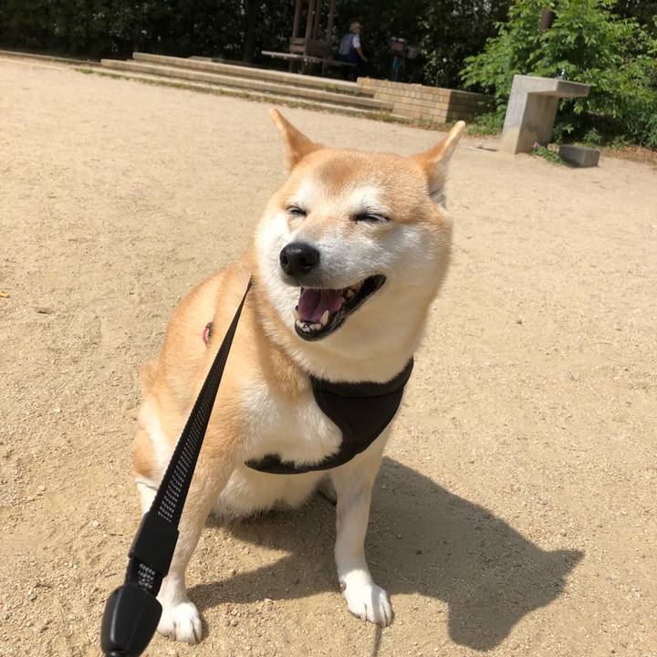 1a1a834e 9f47 4179 9a29 9110f3bffd0f 1558074536577