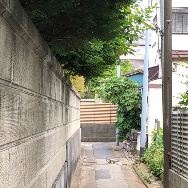 1a1a9a96 874c 4eba 8b9d 661a534e8556 1526890019000