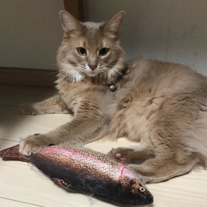 1a1aa6ca 6666 4b70 a32e 4150d48f8f9a 1608815979691