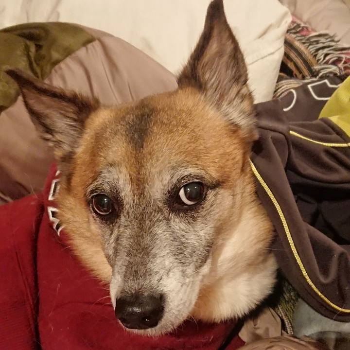 1a1ab46a ff1b 4874 b710 507bf96bb2fe 1512829941563